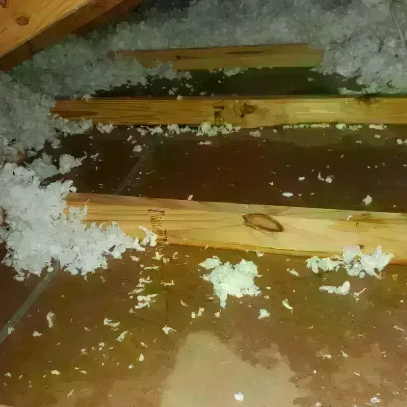 Attic Water Damage in Streetsboro, OH