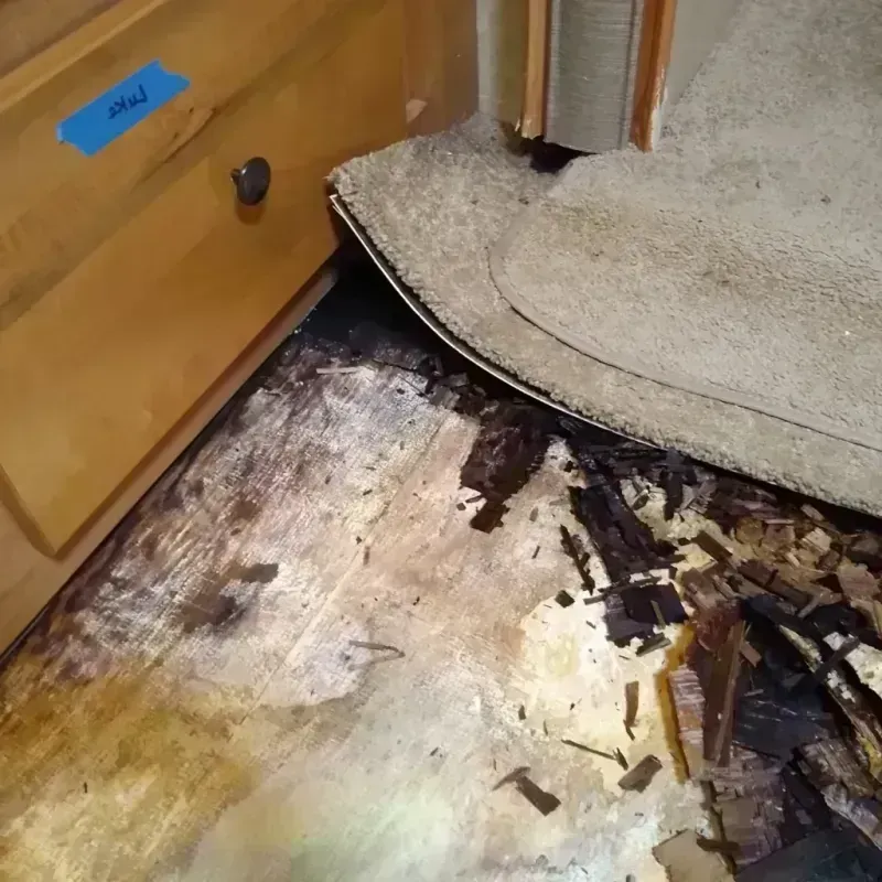 Wood Floor Water Damage in Streetsboro, OH